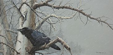 Sudden Flurry - Raven in snow storm by Suzie Seerey-Lester