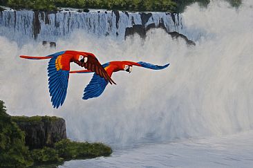 Scarlet Macaws - scarlet macaws flying over Iguazu Falls by Chris Frolking