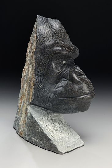 A Watchful Eye - Silverback Gorilla by Dale Weiler