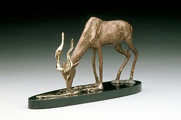 Cool Drink - Kudu antelope by  Karryl