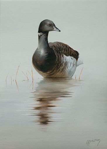 First Arrival - Brent Goose by Lorna Hamilton