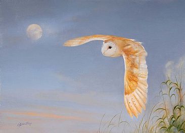 Ghost Owl - Barn Owl by Lorna Hamilton