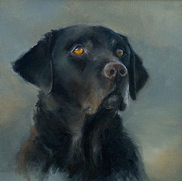 Sam - dog by Lorna Hamilton