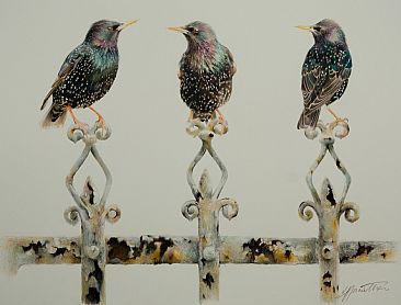 The Three Amigos - Starlings by Lorna Hamilton