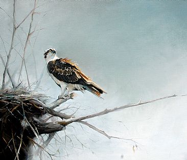 Waiting - Osprey by Lorna Hamilton