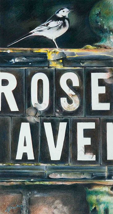 Rosetta Avenue - Wagtail by Lorna Hamilton