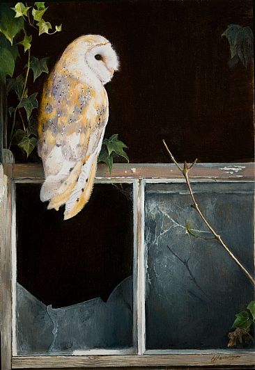 Silent Vigil - Barn Owl, Popular Hawk Moth by Lorna Hamilton