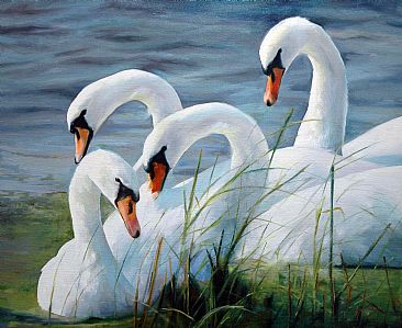 Summer Day - Swans by Lorna Hamilton