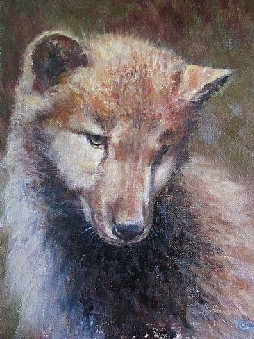 wolf pup - wolf pup by Gloria Chadwick