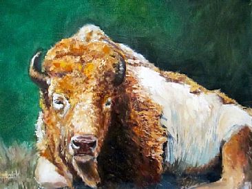 Dozing Legend - White bison by Gloria Chadwick