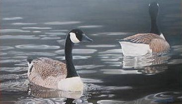 Canada Geese -  by David Prescott
