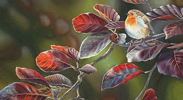 Copper Beech Robin (Sold) - Robin by David Prescott
