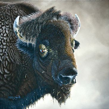 Bison Legend. - North American Plains Bison. by David Prescott