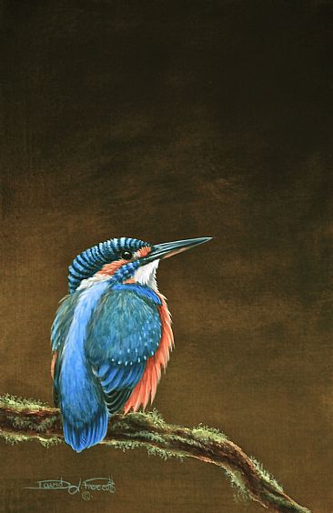 Kingfisher. (Sold) - Kingfisher. by David Prescott