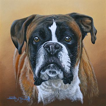 Max, The Boxer. (Sold) - Boxer Dog by David Prescott