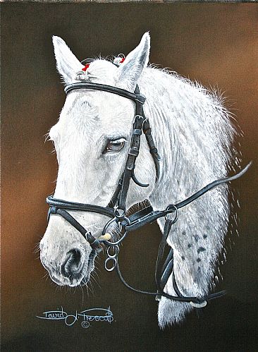 Pepsi, The Pony. (Sold) - Horse. by David Prescott