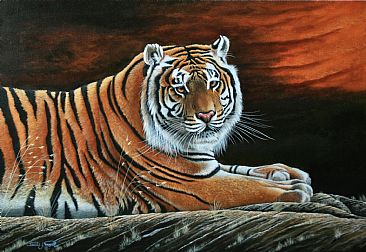 Life is Good. (Sold) - Bengal Tiger. by David Prescott