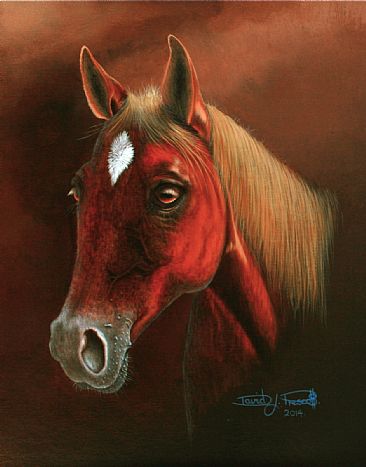Quarter Horse.   ( Sold ) - QuarterHorse. by David Prescott