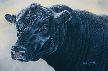 Black Angus Bull. ( Sold ) - Prize Black Angus Bull. by David Prescott