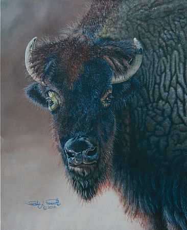 Bison Bull. - North American Plains Bison. by David Prescott