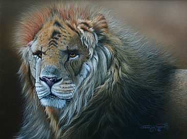 African King. (Sold) - Male African Lion by David Prescott
