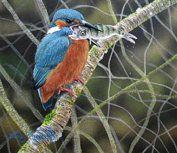 Eating Post. (Sold) - Kingfisher and Perch by David Prescott