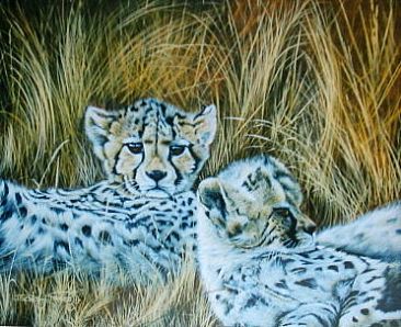 Safty In The Grass (Sold) - Cheetah Cubs by David Prescott