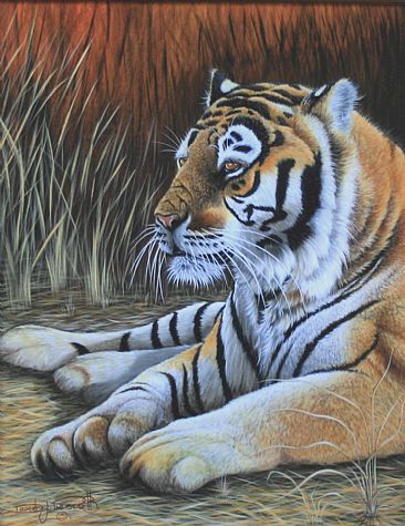 Tiger Fire. (Sold) - Tiger by David Prescott