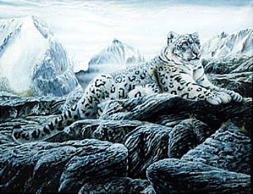 Mountain Monarch, Snow Leopard. (Sold) - Snow Leopard by David Prescott