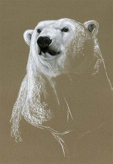 Seeley - Polar bear by Vicki Ferguson