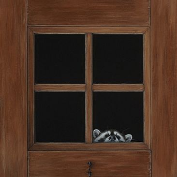 Anybody home? - Raccoon by Vicki Ferguson