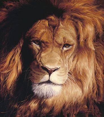 Αποτέλεσμα εικόνας για lion painting