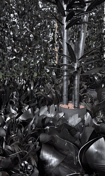 Black Garden - Recycling by Naomi Siegmann