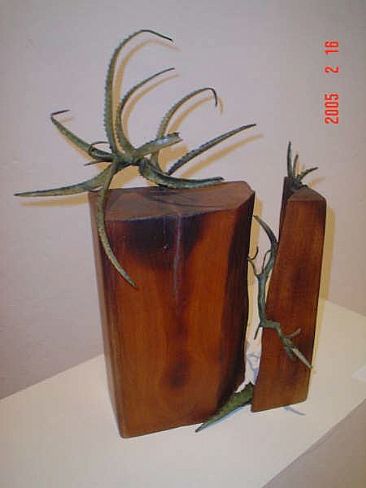 Aloe Vera with wood II - Regrowth by Naomi Siegmann