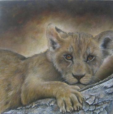 Curious Cub - African Lion Cub - Lion - Lion cub by Wendy Palmer