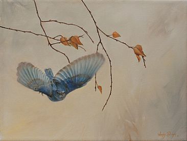 Mountain Bluebird - Mountain Bluebird, Birds by Wendy Palmer