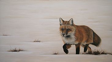 Winter Fox Trot - Fox, Red Fox by Wendy Palmer