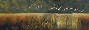 Morning Flight - Lloyd Lake - Canada Geese, Canadian wetlands by Wendy Palmer
