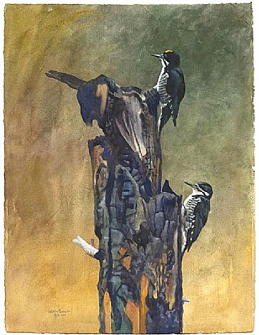 Black-backed Woodpeckers on Burned Snag - Pair of Black-backed Woodpeckers by Larry McQueen