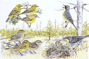 Panel 129 - E.warblers 4 - watercolor by Larry McQueen