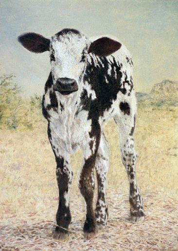 Spring Surprise - calf by Linda Walker