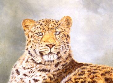 Amur - Amur Leopard by Linda Walker