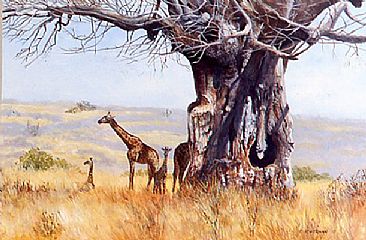 Legendary Shade - Giraffe family and Baobab Tree by Barry Bowerman