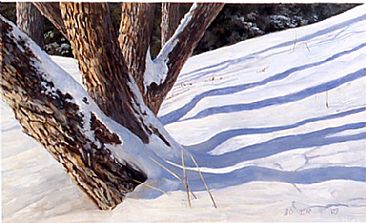 Winter Geometry - Trees and shadows in snow by Barry Bowerman