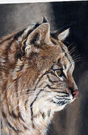 Bobcat portrait (sold) -  by LaVerne Hill