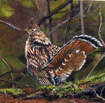 Ruffled Grouse (sold) - Bird by LaVerne Hill