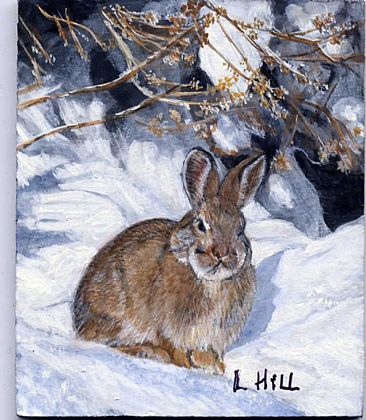 Snow Rabbit (sold) - small mammal by LaVerne Hill