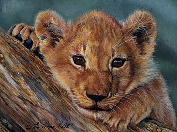 SOON TO BE KING (sold) - mountain lion by LaVerne Hill