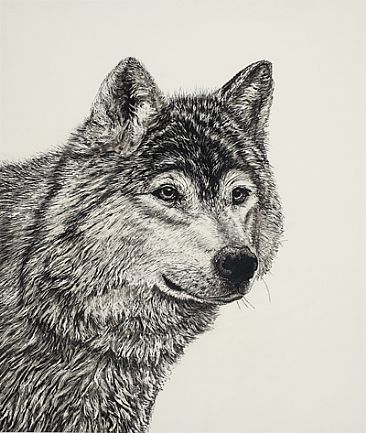  - Wolf - Gray Wolf by Eva Stanley