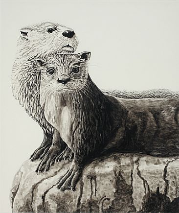  - Otters - River Otters by Eva Stanley
